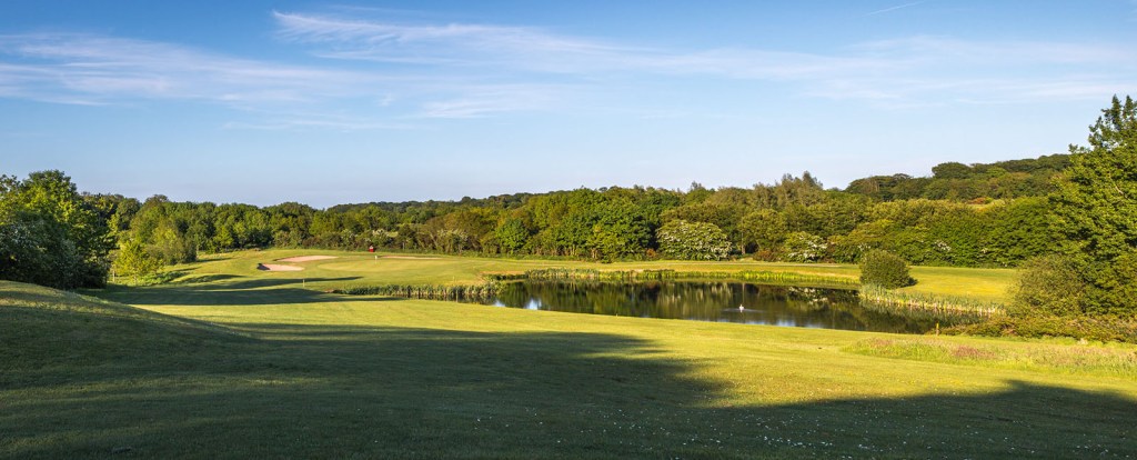 Golf course green