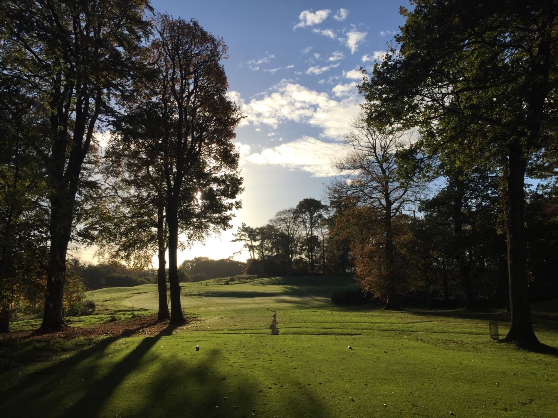 Image of golf ball on tee on grass.