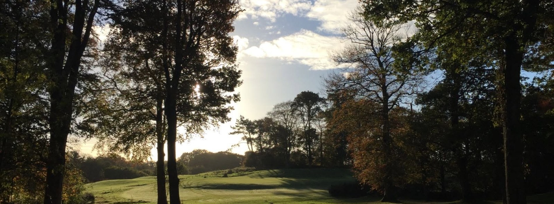 Golf course green with trees